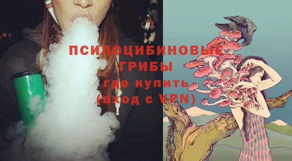 ECSTASY Алексин