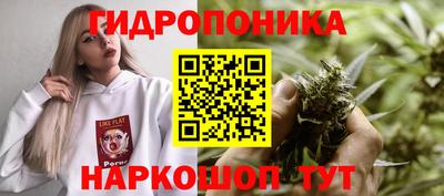 индика Дубна