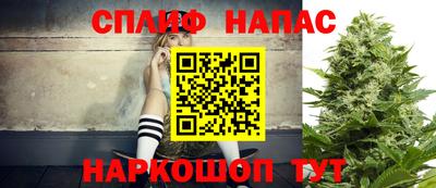 индика Дубна