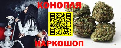 индика Дубна