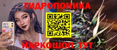 СК Донской