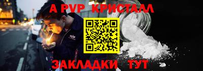 индика Дубна