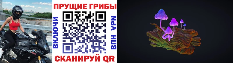 Галлюциногенные грибы Psilocybine cubensis  Мичуринск 