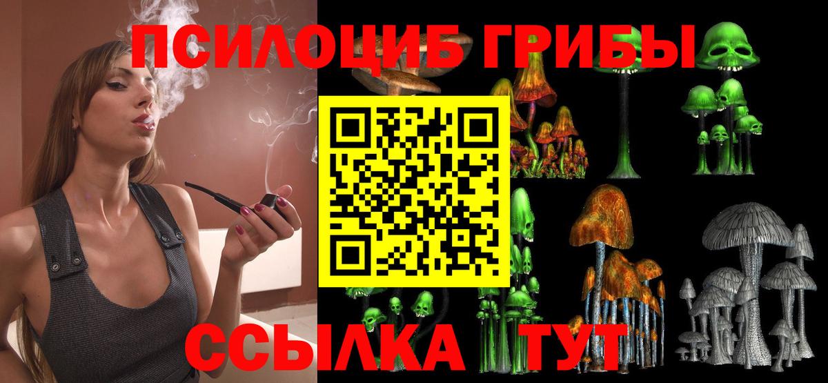 Галлюциногенные грибы мицелий  Вход с VPN  Мичуринск 