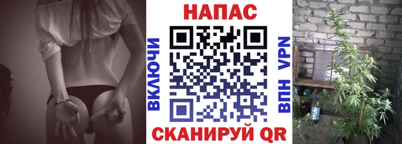 Марихуана THC 21%  blacksprut ССЫЛКА  Мичуринск  как найти  